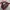 Balenciaga city leather handbag photo 3