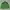 Casual Windbreaker Pria green photo 1