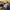 Hoodie Hangten Teens yellow joyful photo 7