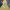 Hoodie Hangten Teens yellow joyful  photo 3