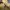 Hoodie Hangten Teens yellow joyful photo 10