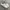 Adidas Casual Sneakers Wanita multicolor photo 1