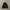 CHARHAT MADERA JACKET/CHARHAT DETROIT WIP/WORK JAKET CHARHAT photo 3