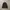 CHARHAT MADERA JACKET/CHARHAT DETROIT WIP/WORK JAKET CHARHAT photo 6