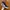 VANS Streetwear Y2K Sneakers Pria black photo 5