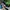 VANS Streetwear Y2K Sneakers Pria black photo 1