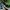 VANS Streetwear Y2K Sneakers Pria Black