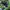 VANS Streetwear Y2K Sneakers Pria black photo 4