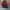 Adidas Casual Track jacket Pria red blue photo 6