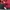 Adidas Casual Track jacket Pria red blue photo 4