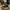NIKE Jordan Session GS