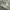 Adidas Casual Sneakers Pria multicolor photo 1