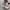 Adidas Casual Sneakers Pria multicolor photo 5
