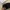Authentic Chanel VIP Gift Counter Ukr photo 4
