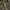 Vintage Overall Realtree Camouflage Looks photo 7