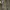 Vintage Overall Realtree Camouflage Looks photo 5