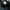 Adidas Superstar Foundation photo 6
