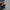 Adidas Superstar Foundation photo 4