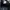 Adidas Superstar Foundation photo 7