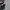 Adidas Superstar Foundation photo 4