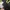 Nike Vintage Sportswear Jersey Pria black photo 4