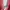 Tommy Hilfiger Casual Sweatshirt Pria red photo 4