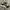 Adidas Casual Sneakers Pria multicolor photo 1