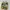 Adidas Yeezy Boost 350 V2 photo 2