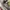 Adidas Yeezy Boost 350 V2 photo 3