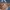 Legatto Largo Comfort Series Mini Nude photo 5