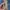 Legatto Largo Comfort Series Mini Nude photo 7