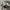  celana swetpants TOPTEN GREY photo 6