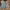 Jorts Denim Zara Woman