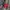 JAKET MONTBELL LIGHTWEIGHT WINDBREAKER RAIN JACKET GORPCORE photo 8