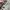 Cargo pant carhartt green military photo 7