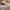 Dickies mens everyday two tone khaki & black work trousers photo 5