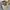 Polo Ralph Lauren Vintage Casual Hat Pria cream photo 6