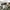 Polo Ralph Lauren Vintage Casual Hat Pria cream photo 7