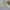 Polo Ralph Lauren Vintage Casual Hat Pria cream photo 2