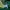 Adidas Casual Hoody Pria green photo 2