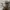 Carhartt Streetwear Y2K Hoody Pria gray photo 3