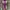 shawl-scarf-pashmina pattern cashmere photo 2