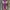 Shawl-scarf-pashmina Pattern Cashmere