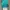 shawl-scarf-pashmina pattern cashmere photo 6
