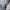 Champion Casual Track jacket Pria pink photo 5
