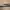 Commedesgarcons homme faux reptile leather belt photo 4