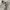SCHOFFEL Technical Cargo Pants Hiking Trousers Gorpcore Khak photo 5