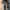 Louis Vuitton Minimalist Bag Pria black photo 4