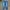 Levis 511 Denim Pants