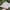 Vintage Hat Pria green photo 1